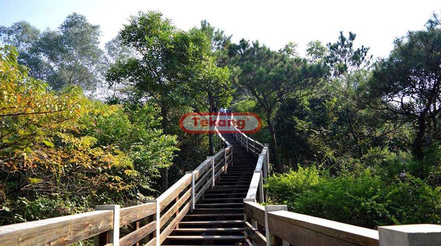 兒童游樂(lè )設備 兒童游樂(lè )設備